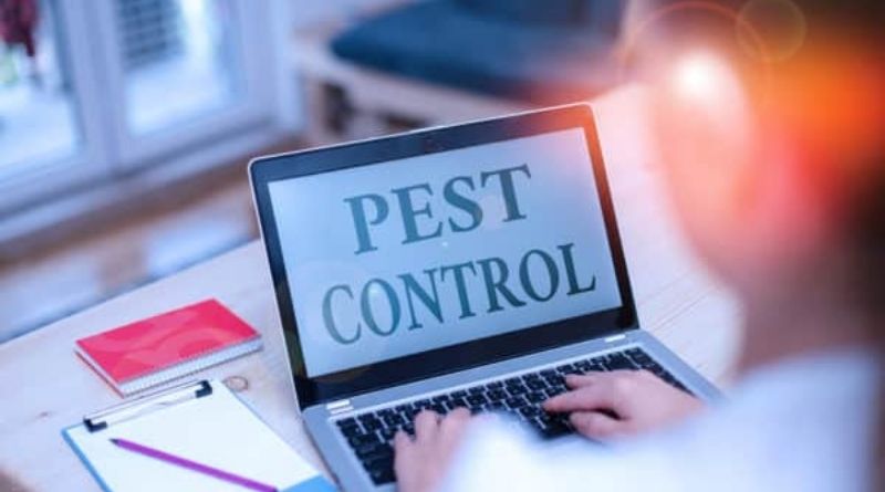 Commercial Pest Services